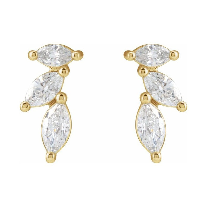 Accented Earrings